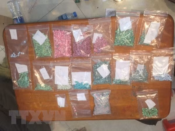 广治省破获一起毒品运输案 缴获4234粒合成毒品 ảnh 1
