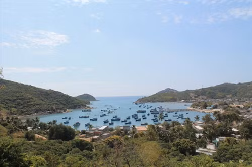 2016年元旦假期南部最佳旅游目的地 ảnh 2