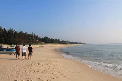 2016年元旦假期南部最佳旅游目的地 ảnh 3