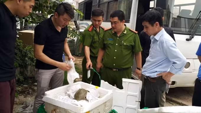 河内市职能力量查获大量走私中国商品 ảnh 1