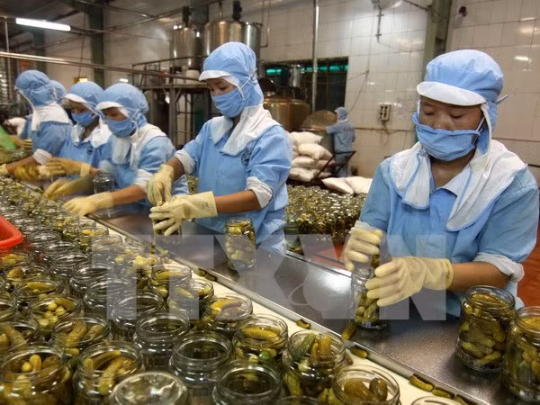 越南企业组团赴新西兰参观考察寻找商机 ảnh 1