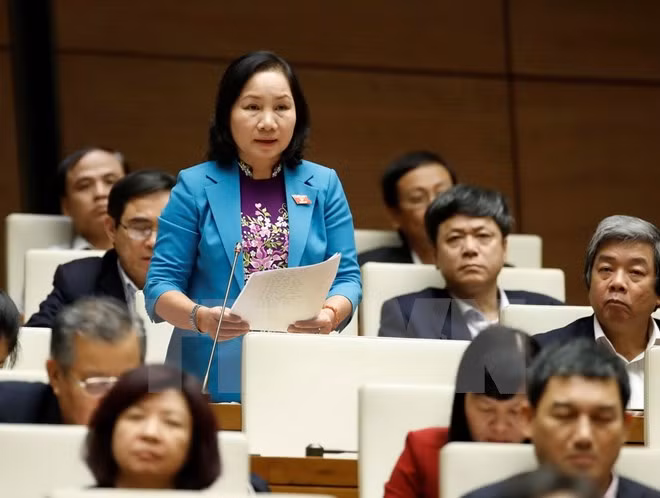 第十三届国会十一次会议:选民认为要推进经济增长模式向纵深转变 ảnh 1 第十三届国会十一次会议:选民认为要推进经济增长模式向纵深转变 ảnh 1