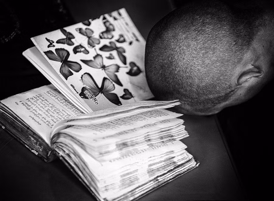 《劳动报》记者荣获2017年度《英国伦敦国际创意大赛》荣誉奖项 ảnh 1