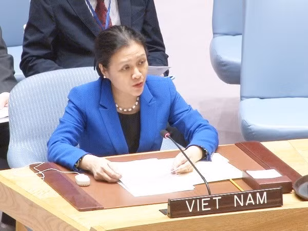 越南出席不结盟运动高官会 ảnh 1