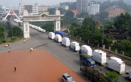 老街省力推正贸进出口发展 ảnh 1