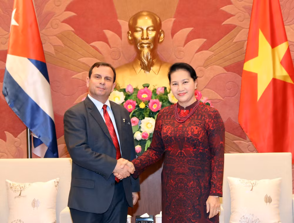 越南国会主席阮氏金银荣获古巴国务委员会授予的团结勋章 ảnh 1