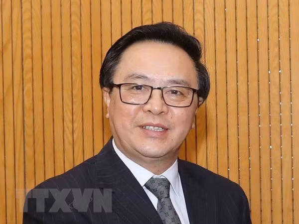 越共中央对外部部长黄平君：阮富仲此访开辟了越法和越古关系更美好前景 ảnh 1