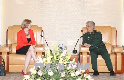 越南国防部副部阮志咏会见新西兰驻越南大使温迪马修斯 ảnh 1 越南国防部副部阮志咏会见新西兰驻越南大使温迪马修斯 ảnh 1
