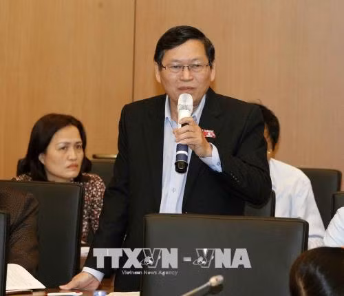 越南国会专责代表对《网络安全法》草案持不同意见 ảnh 1
