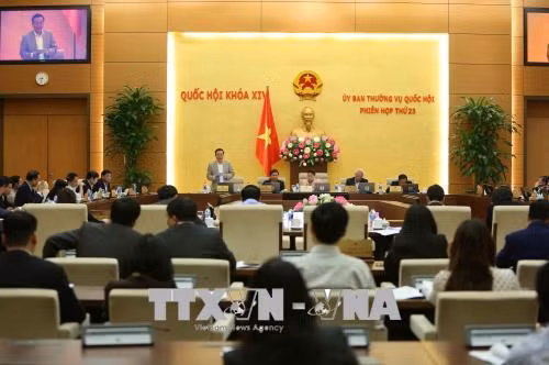 认真核查特别经济行政单位的优惠政策 ảnh 1 认真核查特别经济行政单位的优惠政策 ảnh 1