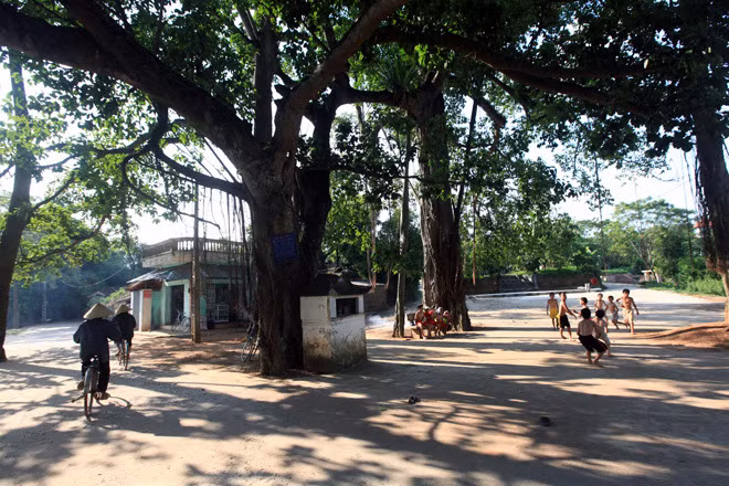 越南乡村生活空间的组织结构 ảnh 1