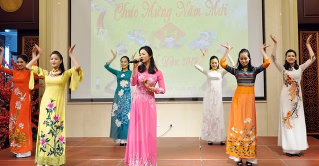 越南驻美国大使馆举行2017年春节招待会 ảnh 1 越南驻美国大使馆举行2017年春节招待会 ảnh 1