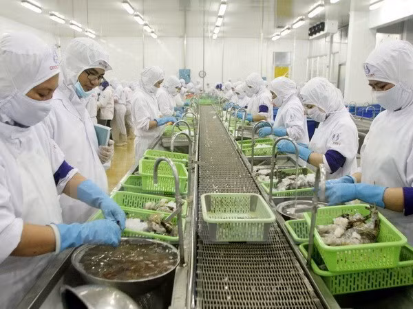 2016年越南对欧盟虾类产品出口额增长7.5% ảnh 1