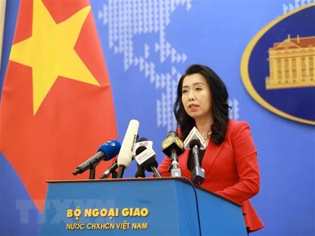 越南对重新启动中东和平进程的一切努力表示欢迎 ảnh 1