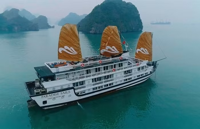 越南天堂集团在下龙湾推出新游轮服务 ảnh 1