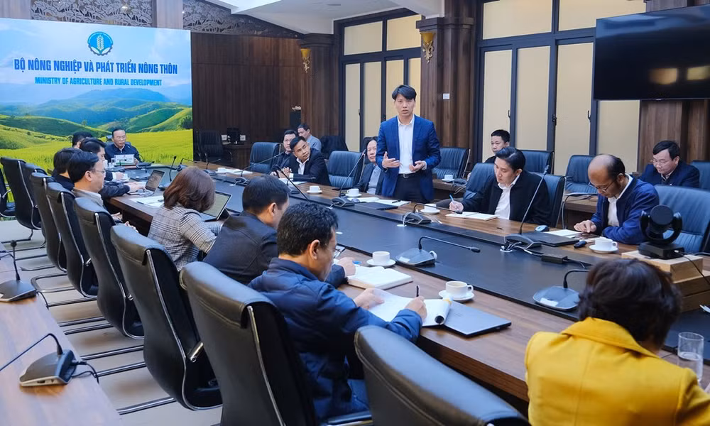 预计2023年2月非洲猪瘟疫苗在全国范围内广泛使用 ảnh 1