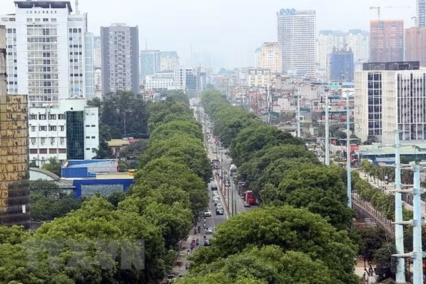 新西兰驻越南大使：越新在经贸政策和包容性增长方面具有共同点 ảnh 4