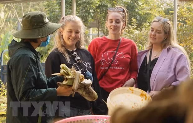 宁平省黑熊保护中心：喜爱自然游客的热门旅游点 ảnh 1