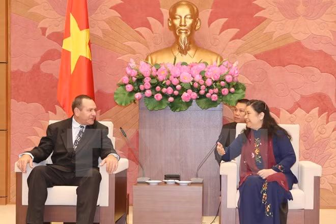 越南国会副主席丛氏放会见古巴共产党代表团 ảnh 1