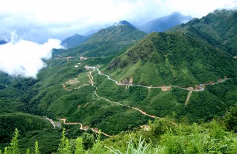 黄连山山口被公认为越南国家级风景名胜区 ảnh 1