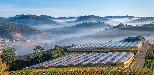 越南西原地区首家大型草药生产厂正式落成 ảnh 1