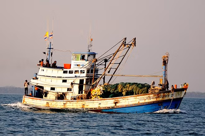 越南海警在金瓯海域扣押非法捕鱼的三艘泰国渔船 ảnh 1