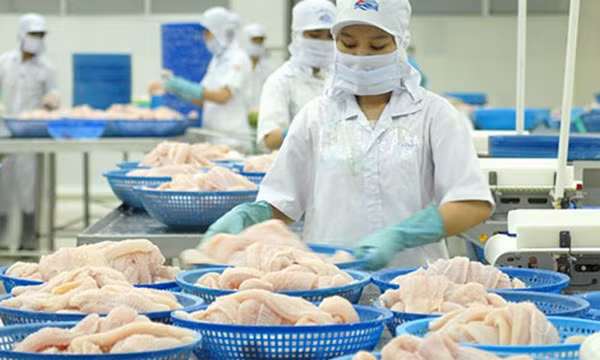美国拟将提高越南查鱼的反倾销关税 ảnh 1