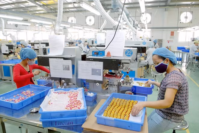 胡志明市各工业区和加工区有效运营 ảnh 1