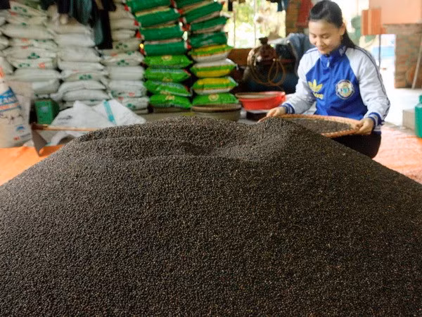 同奈省春禄牌胡椒注册商标 ảnh 1