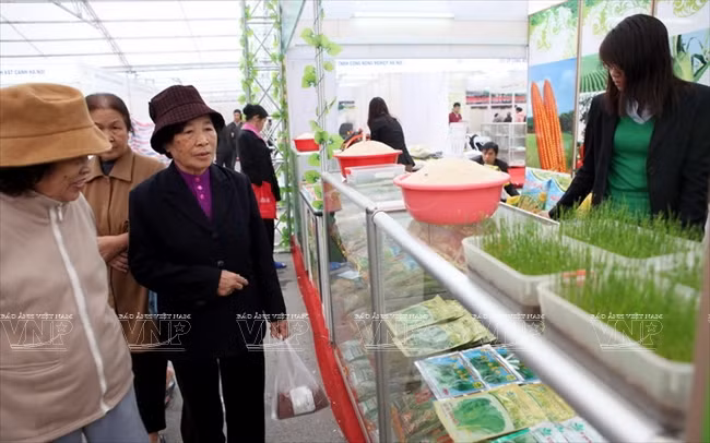 河内发展高科技农业 ảnh 9