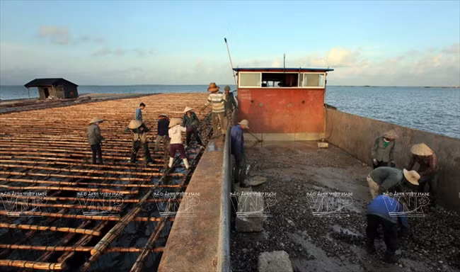 广宁省茶古水产养殖业 ảnh 1