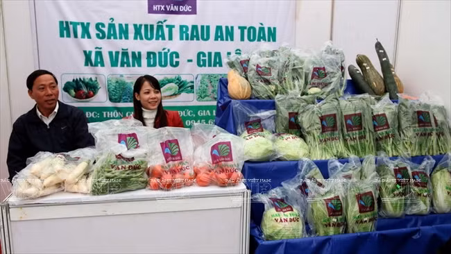 河内发展高科技农业 ảnh 8