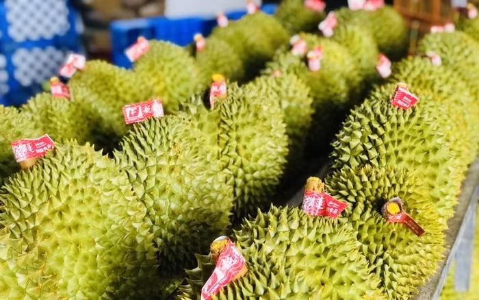 榴莲——越南出口额数十亿美元的商品之一 ảnh 1