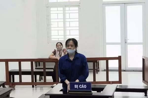 利用律师名义之便损害个人和组织名誉的阮氏水获刑20个月 ảnh 1