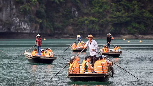 发展省内旅游 ảnh 1