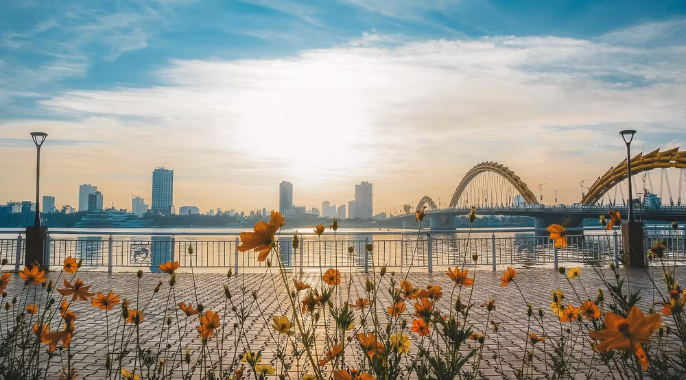 越南旅游：通过直播节目探索岘港市特色美食 ảnh 2