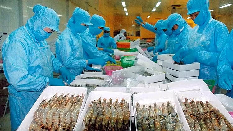 越南水产品出口呈复苏态势 ảnh 1