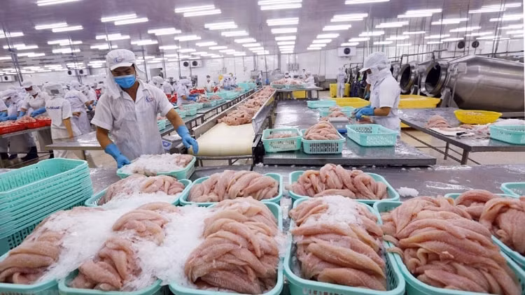 对法国出口农水产品：需要有条不紊的战略 ảnh 1