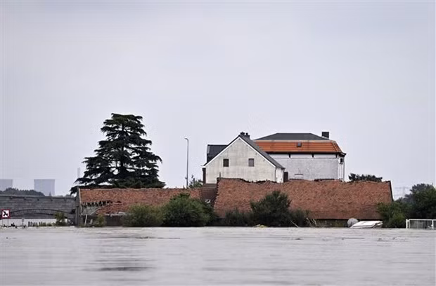 越通社简讯2021.7.18 ảnh 1