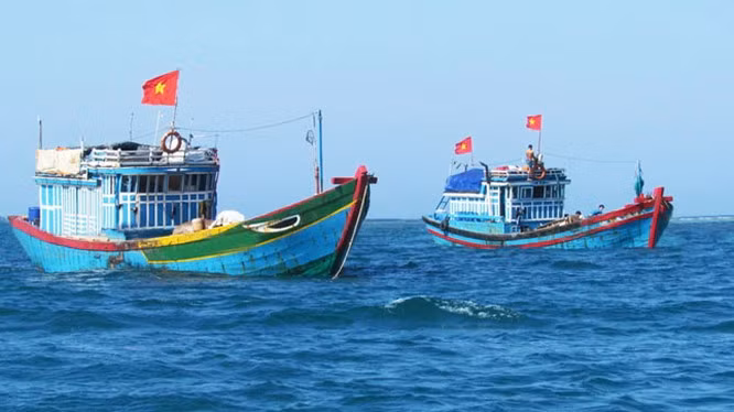 越南海洋岛屿：严惩在国外海域非法捕鱼的渔船 ảnh 1
