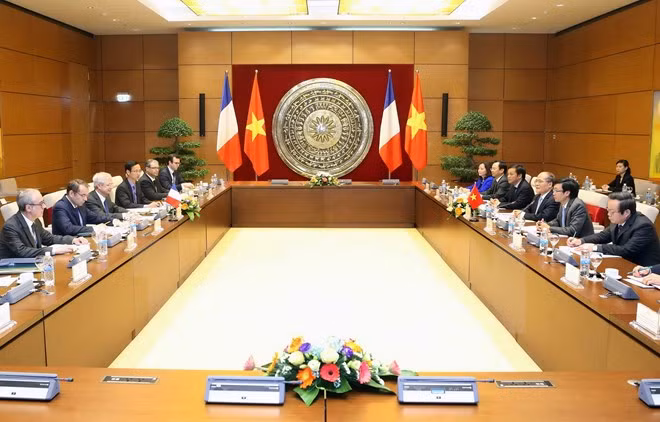 越南国会主席阮生雄与法国国民议会议长巴尔托洛内举行会谈 ảnh 1