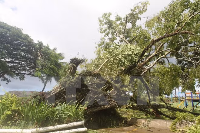 超强台风袭击斐济 越南国家领导人向斐济共和国领导人致慰问电 ảnh 1