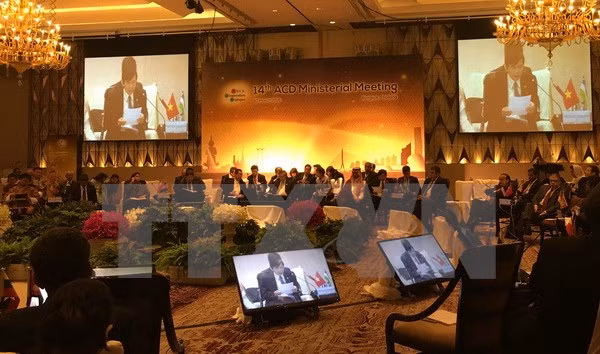 越南出席亚洲合作对话第十四次外长会 ảnh 1