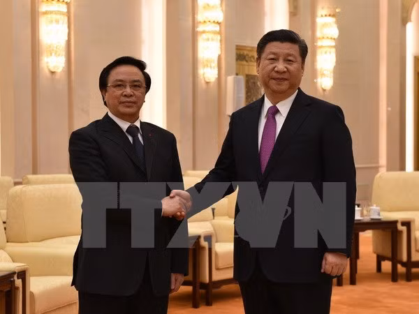 中共中央总书记、中国国家主席习近平会见越共中央总书记阮富仲特使 ảnh 1