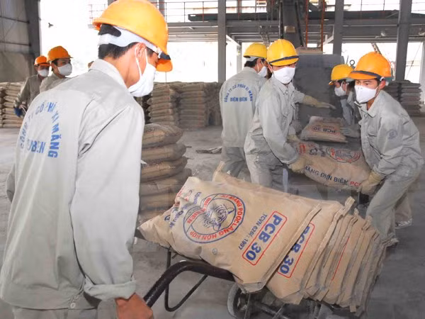 今年前两个月水泥销量近950万吨 ảnh 1