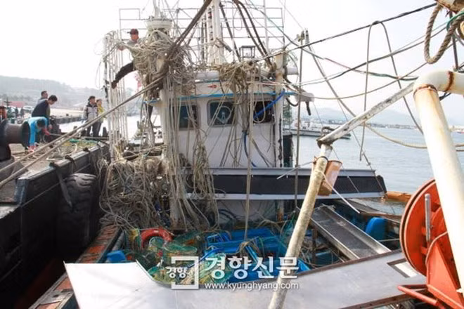 韩国失事渔船上发现一具越南船员尸体 ảnh 1