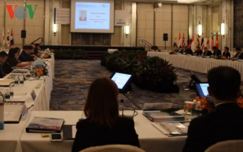 越南参加在新加坡举行的RECAAP-ISC执行委员会成员会议 ảnh 1
