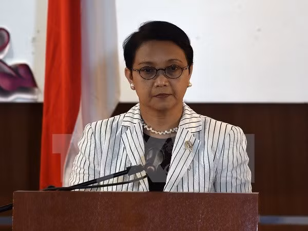 印尼就中国海警船侵犯该国领海表示抗议 ảnh 1