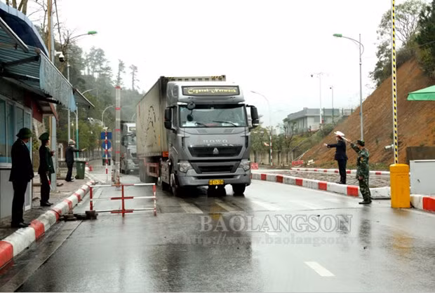 新冠肺炎疫情：大批农产品到达口岸等待清关 ảnh 1