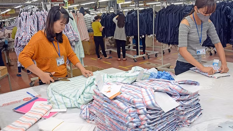 最大限度地抓住EVFTA带来的机会 ảnh 1